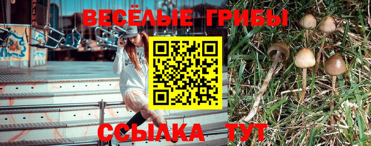 Псилоцибиновые грибы GOLDEN TEACHER Сальск
