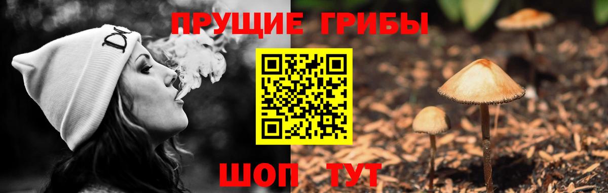 Псилоцибиновые грибы GOLDEN TEACHER  Галлюциногенные грибы Magic Shrooms  Вход с VPN  купить наркотики сайты  Сальск 